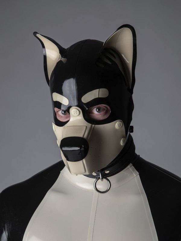 Shadow the Rubber Pup