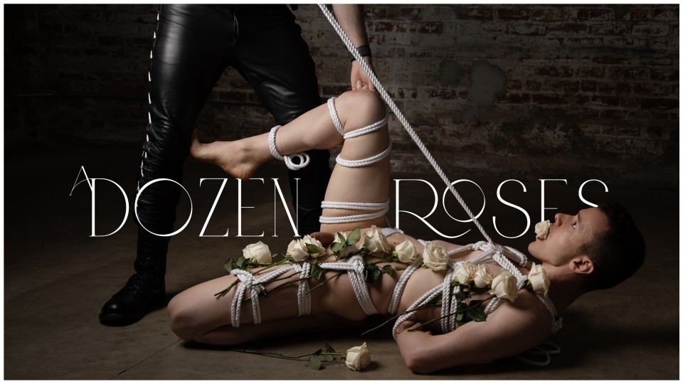 A Dozen Roses